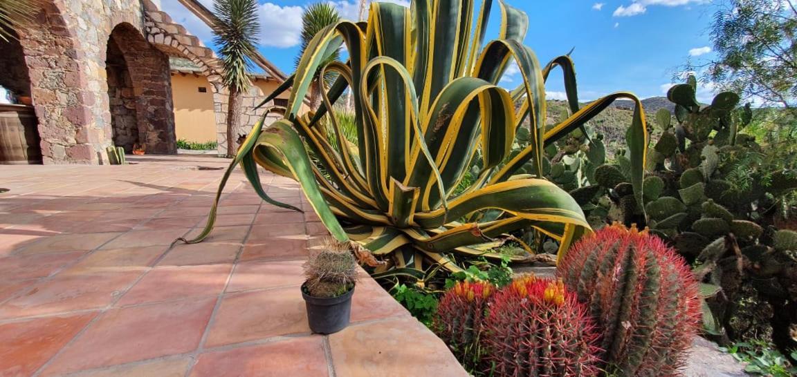Hotel Rincon Magico Catorce ภายนอก รูปภาพ
